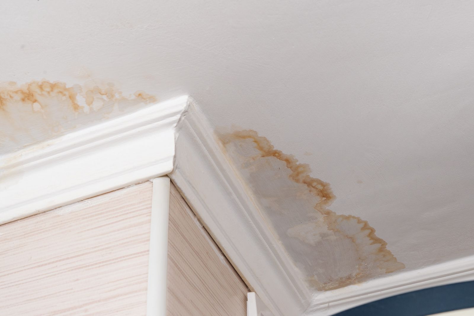 Rocklane Co. General Contractors, LLC Images